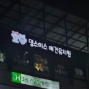 댕스미스 애견미용 이미지