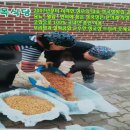 향군로 네이버블로그
