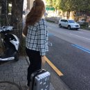 피피유피피 이미지