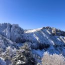 진달래동물약국 | 2026년 제주도 한라산 등산 후기 (관음사-성판악)ㅣ준비물, 복장, 코스, 인증서, 팁