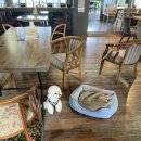 리버스토리1210 이미지