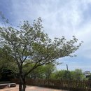 문탠로드 주차장내 | 해운대 달맞이길 맛집 '브런치 소보' - 뜻밖의 메뉴에 반하고 온 후기