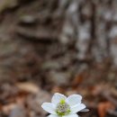 지랑마을 이미지