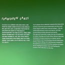 온디맨드가 만드는 새로운 세상 | [워너 브롱크호스트 : 온 세상이 캔버스] 서촌 전시회 후기 / 귀엽고 신선하고 따뜻했던 전시회