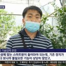 주)엔티팜