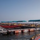 수진좌대2 이미지