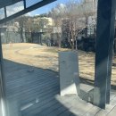 라이커스