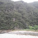 개미들솔향기야영장 이미지