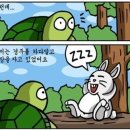 토끼와거북이 Daum카페