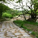 산디천 디트뉴스24