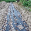 모가 농협주유소 이미지