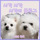 연암280