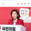 나경원, '지역구는 국힘+비례는 조국' 지국비조 유행 이미지