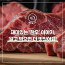 황우가축인공수정소 | 재미있는 &#39;한우&#39; 이야기, 알고 먹으면 더 맛있어요!