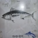 이강참치 - 동작구 사당로 204 | 이강참치