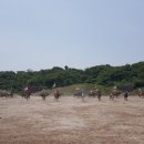만복농산물 이미지