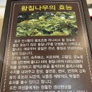 황칠나라 풍년옥 이미지