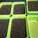 가비맨션 이미지