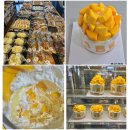 빵굽는마을(마전점) | 청주 내돈내산 망고케이크 "빵굽는마을"