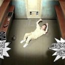 째하이퐁