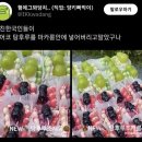 K-디저트 이미지