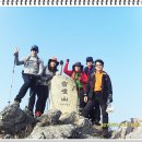 제1,510차 향로산(976m) 경남밀양 산행일지 이미지