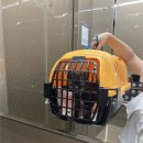 디위드동물병원 이미지