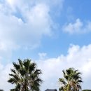 놀이터목장 이미지