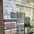 아네스뷰티