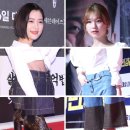 하이클라라