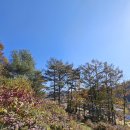 이목2리 이미지