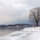 주산지의 겨울 이미지