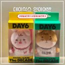 DAY6 데이식스 인이어 앨범 원필, 영케이 후기, 사용법