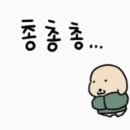 홍천펜션&글램핑캠프별이빛나는밤 | 홍천 1박 2일 여행 [홍천강뷰 애견동반 가능 바베큐 펜션 추천]