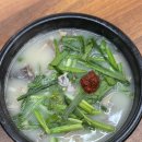 금오14길 | 양산 국밥 맛집 송백국밥 푸짐하고 진한 국물의 현지인 로컬식당 솔직후기