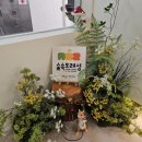 노원구 공릉 아이와 가볼만한곳 모래놀이 흙놀이 샌드놀이 촉감놀이 : 숲속모래성 키즈카페 노원공릉점