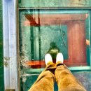 아이러브 장자도민박 이미지