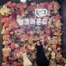 탭그라운드 이미지