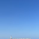 여수항돌게쟁이꼬막