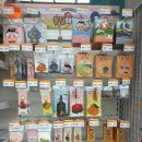 중앙제과마트 | 제주 기념품 간식부터 소품까지, 동화마을 제스코관광마트 총정리