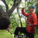 맨도롱 스시 이미지