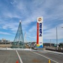 진도 소고기 대파국 이미지