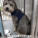 녹번-031 이미지