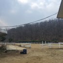 인천승마공원 네이버블로그
