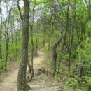 명지바람 이미지