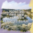 밀양댐유원지식당 | 밀양 위양못 이팝꽃