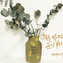 평화몬테소리어린이집