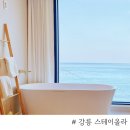 스테이올라 | [강릉여행] 오션뷰와 함께한 " 강릉스테이올라" 302호 내돈내산 후기