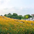 들꽃 - 춘천시 효석로9번길 9 | 들꽃