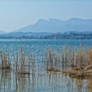 연결녹지42호 이미지